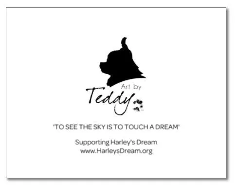 Art by Teddy - Set of 4 Notecards
