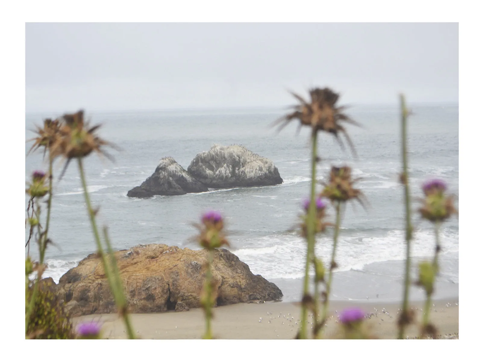 California In Popular Song