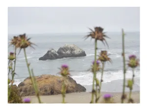 California In Popular Song