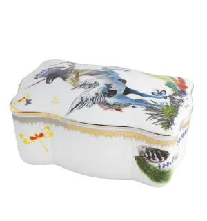 Caribe Shaman Box