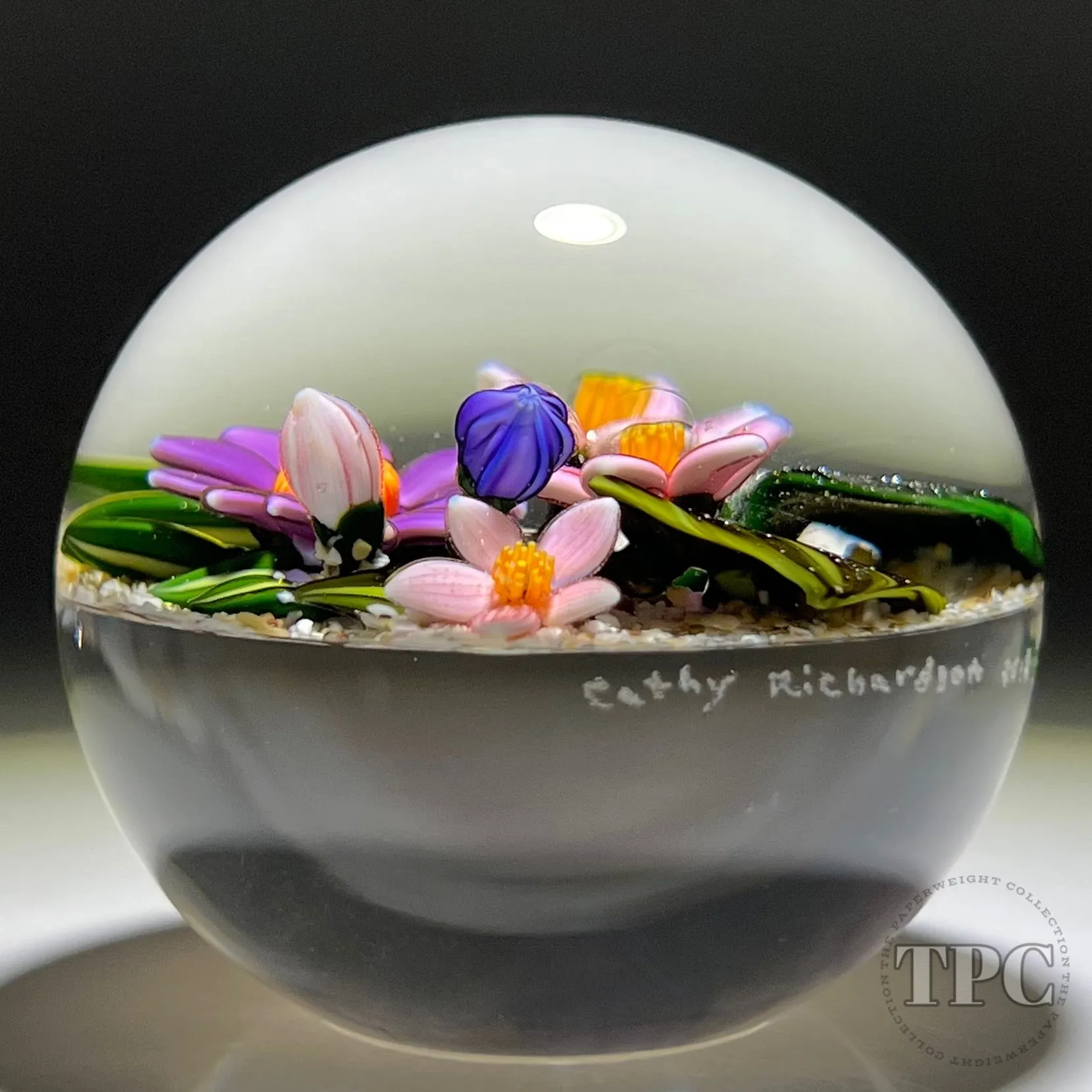 Cathy Richardson 2022 Glass Art Paperweight Flamework Pink & Purple Wildflowers on Sand Ground