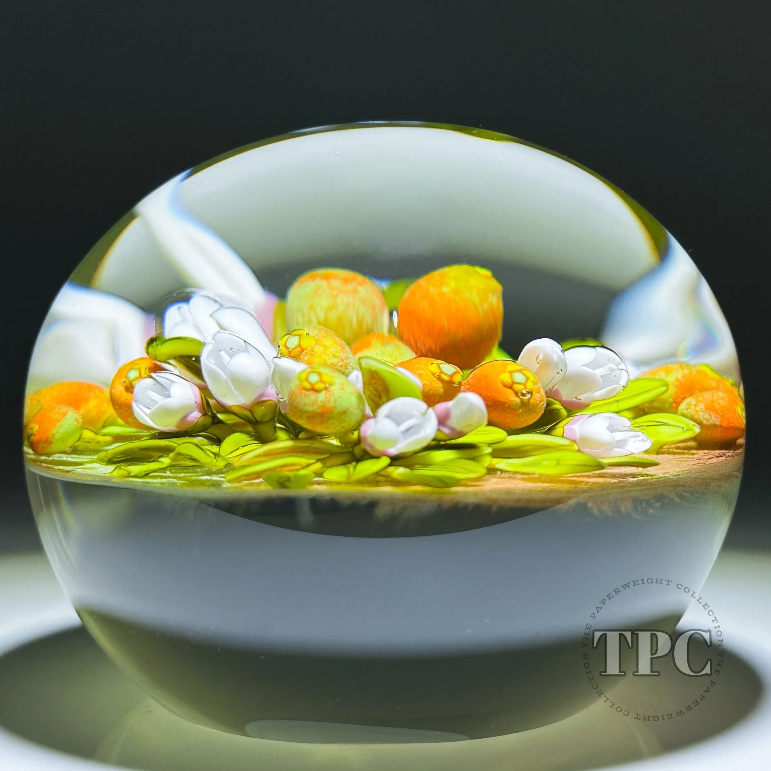 Cathy Richardson 2024 Glass Art Paperweight Flamework Citrus Bouquet 1 of 1