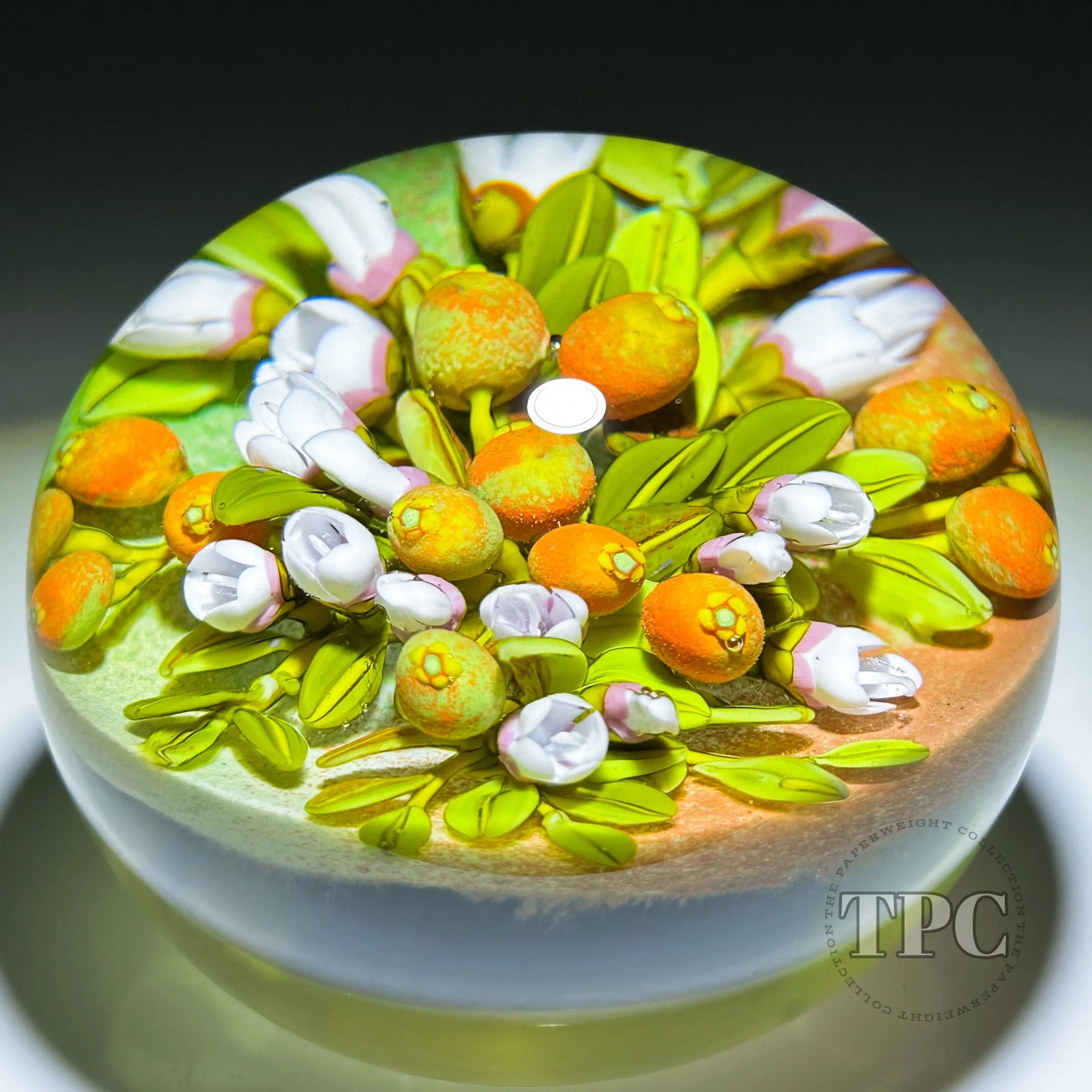 Cathy Richardson 2024 Glass Art Paperweight Flamework Citrus Bouquet 1 of 1