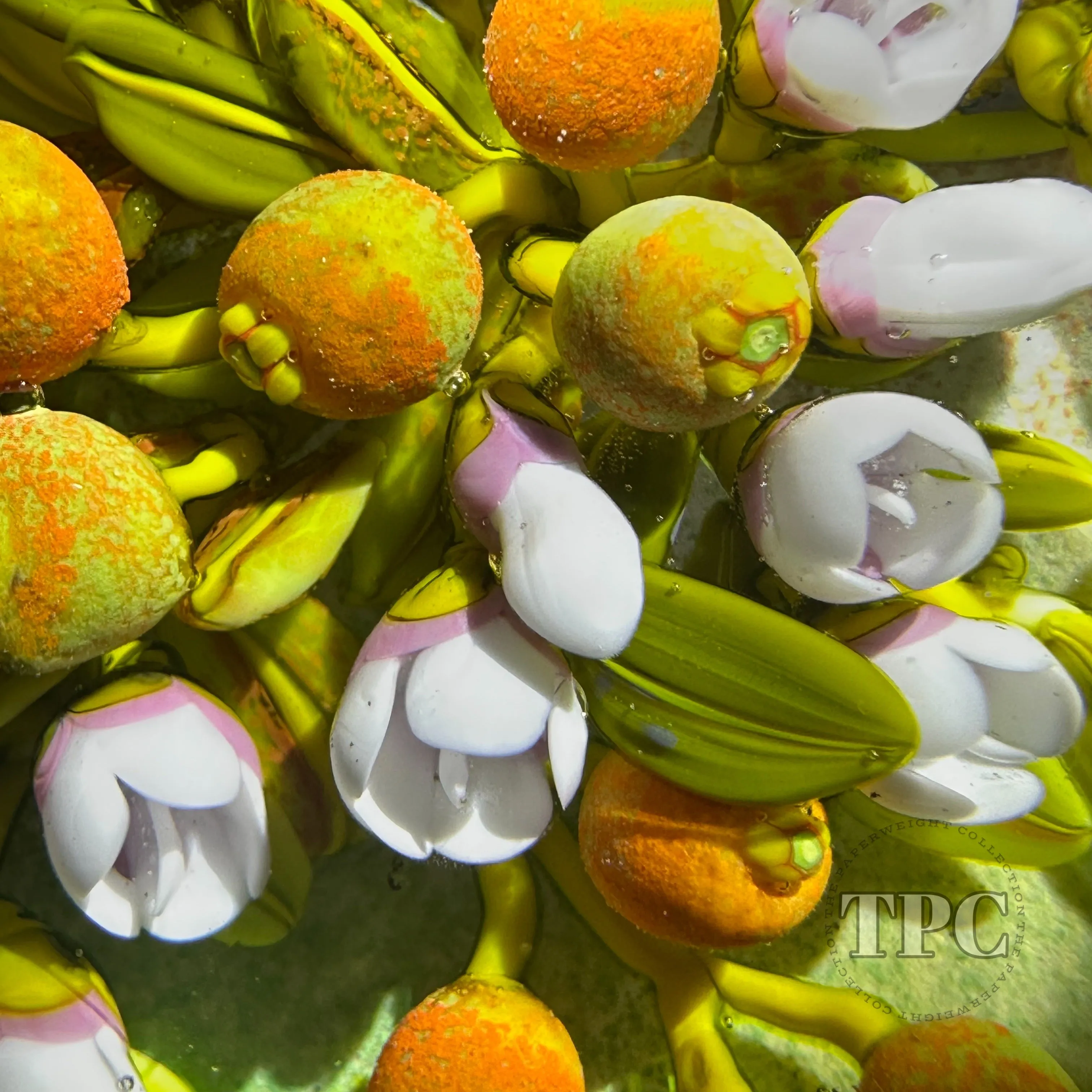 Cathy Richardson 2024 Glass Art Paperweight Flamework Citrus Bouquet 1 of 1