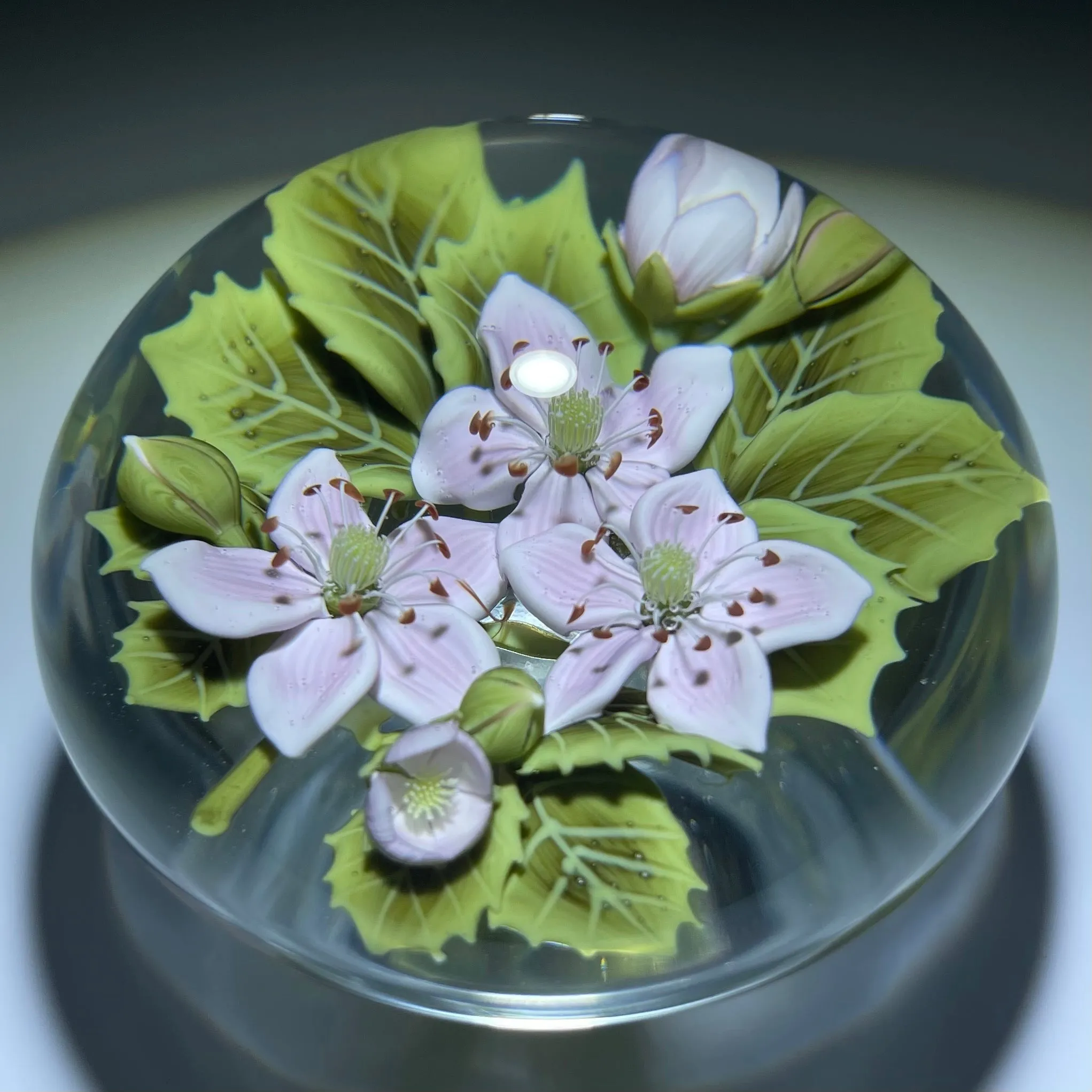 Clinton Smith 2021 Flamework Pink Black Berry Blossoms on Clear Ground