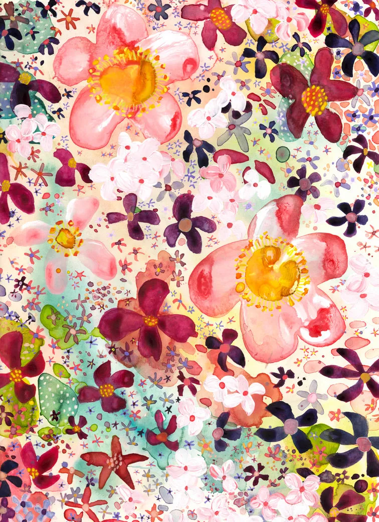 Curiosity No. 1
