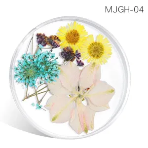 Dried Flowers For Nail Art  MJGH04