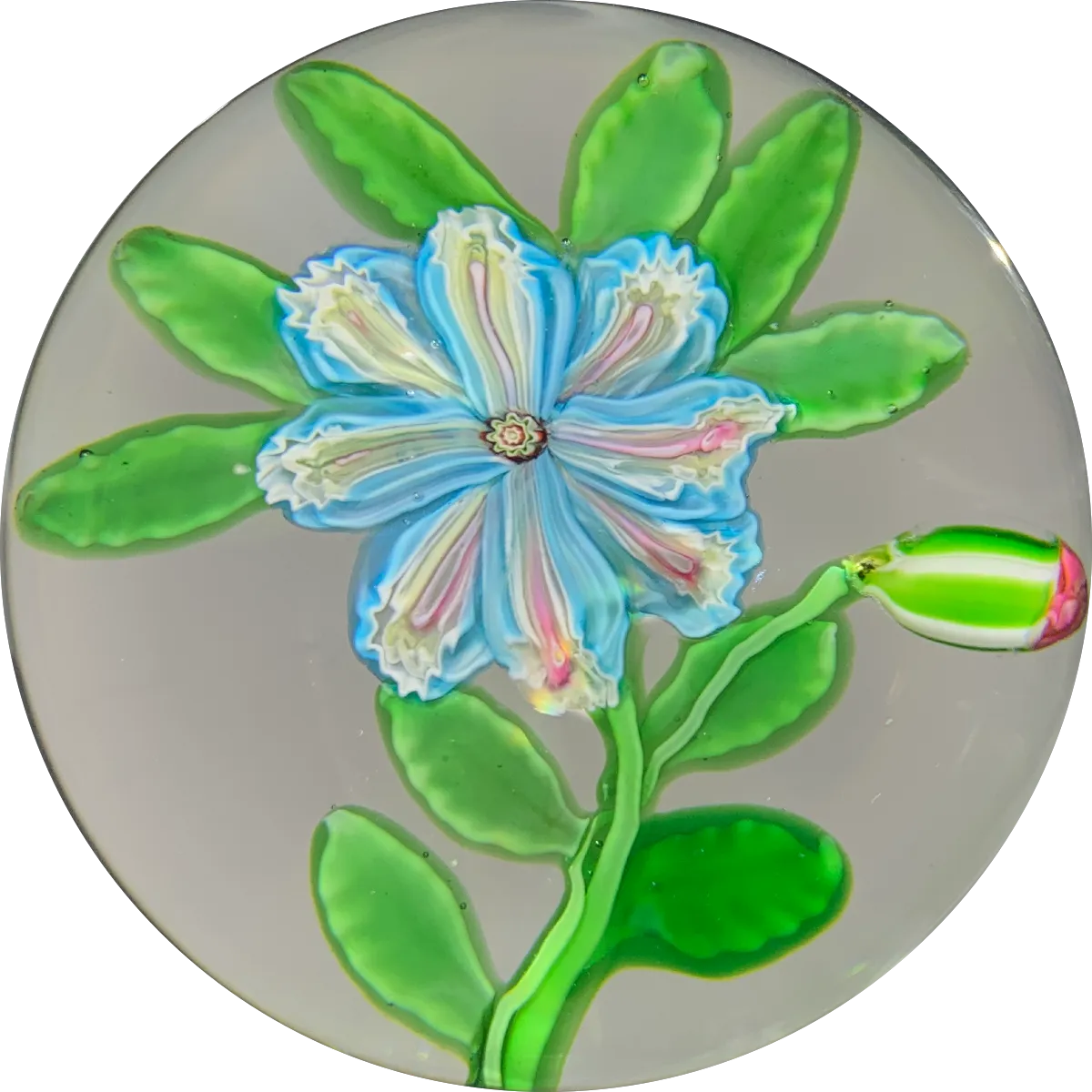 Extremely Rare Antique Clichy Lampwork Flower with Unusual Split Millefiori Cane Petals
