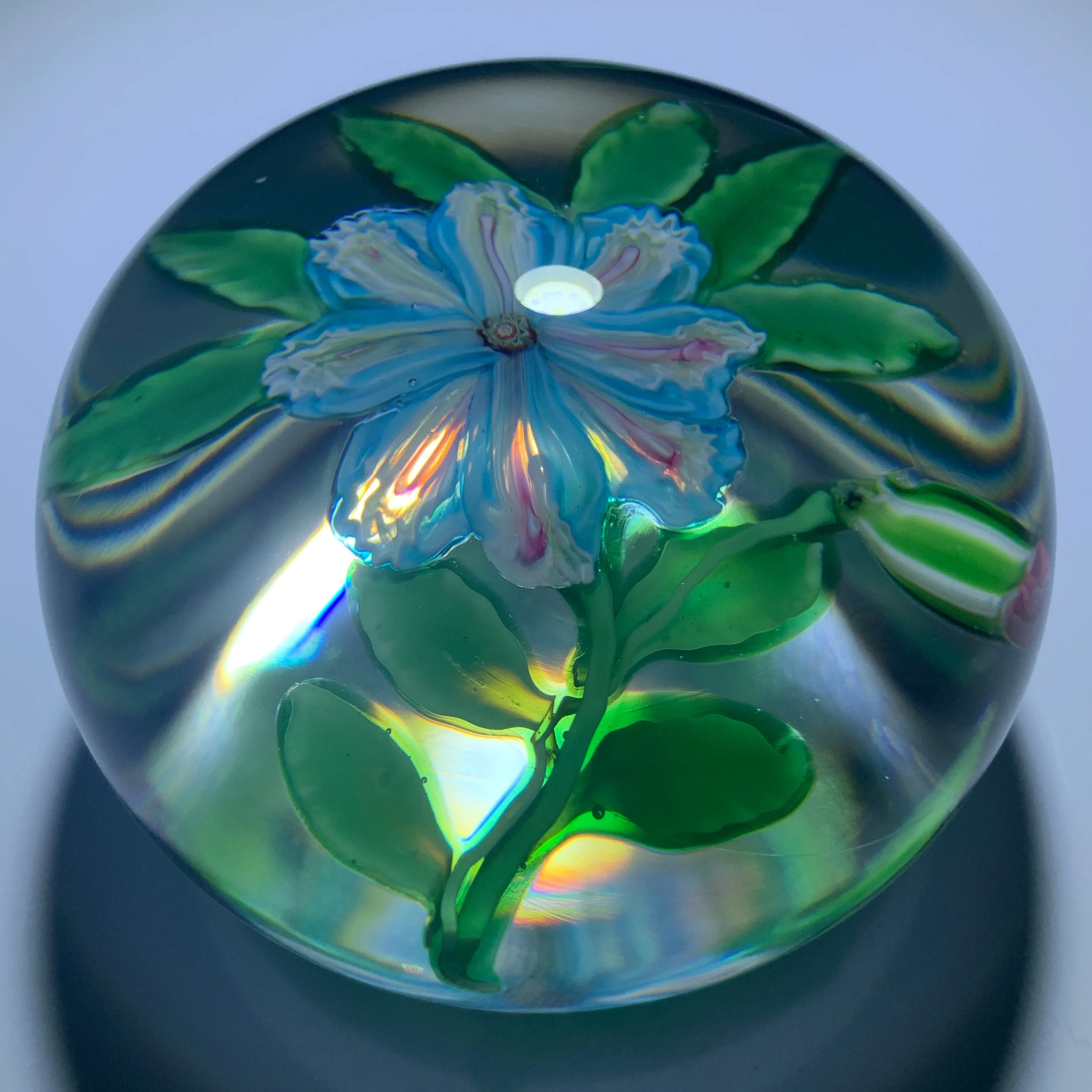 Extremely Rare Antique Clichy Lampwork Flower with Unusual Split Millefiori Cane Petals