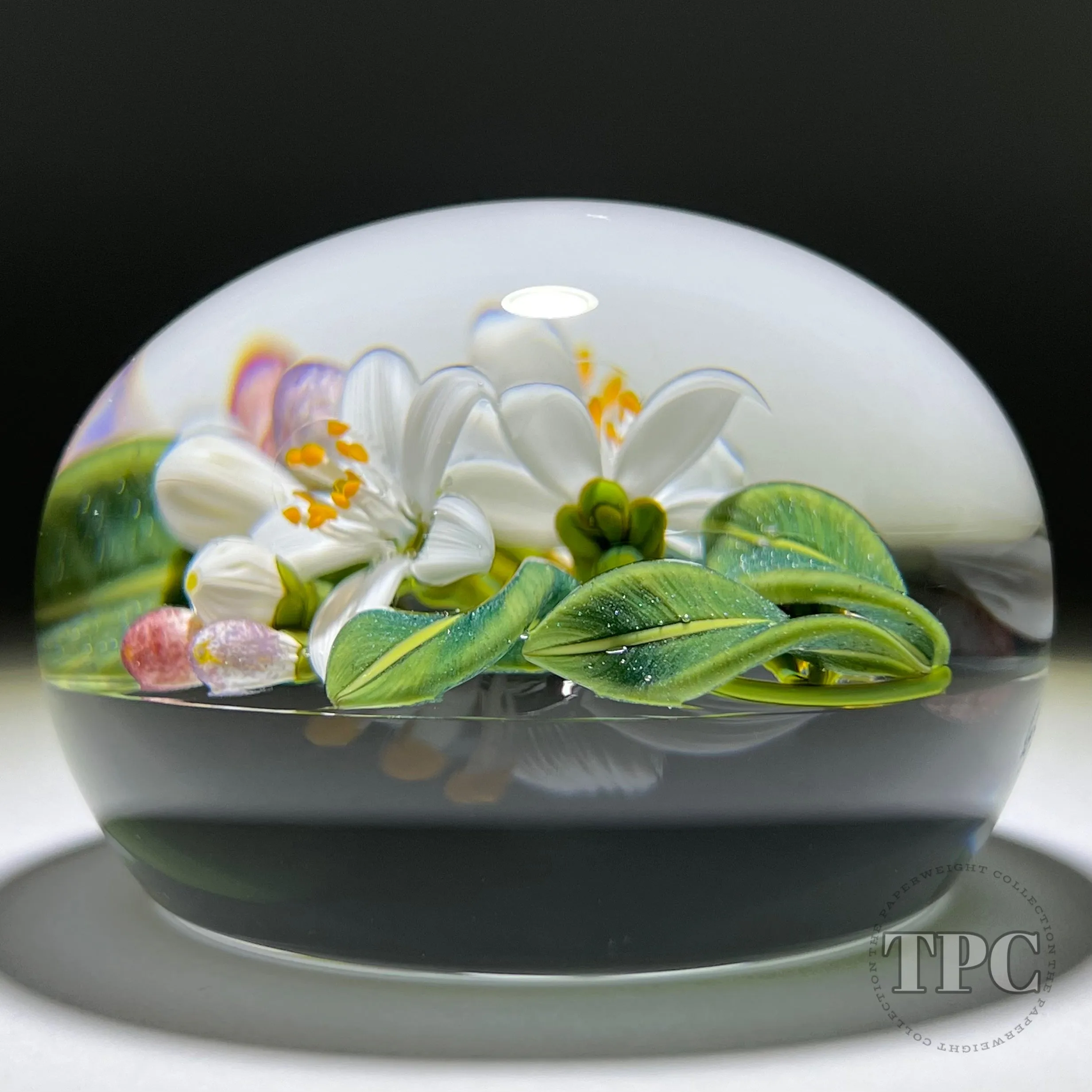 Gordon Smith 2022 Glass Art Paperweight Flamework Lemon Blossoms with Star-cut Base