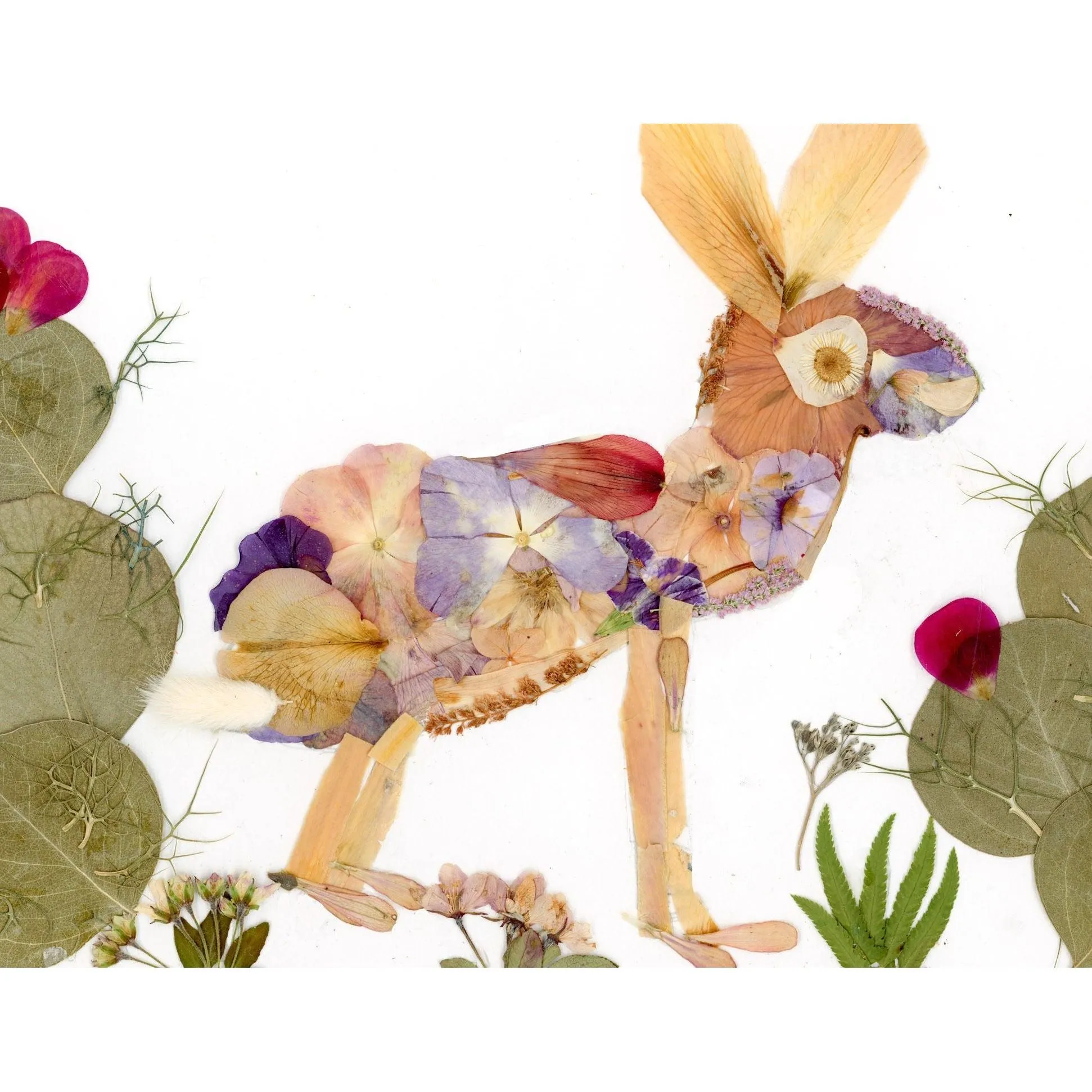 Jackrabbit pressed flower collage art print