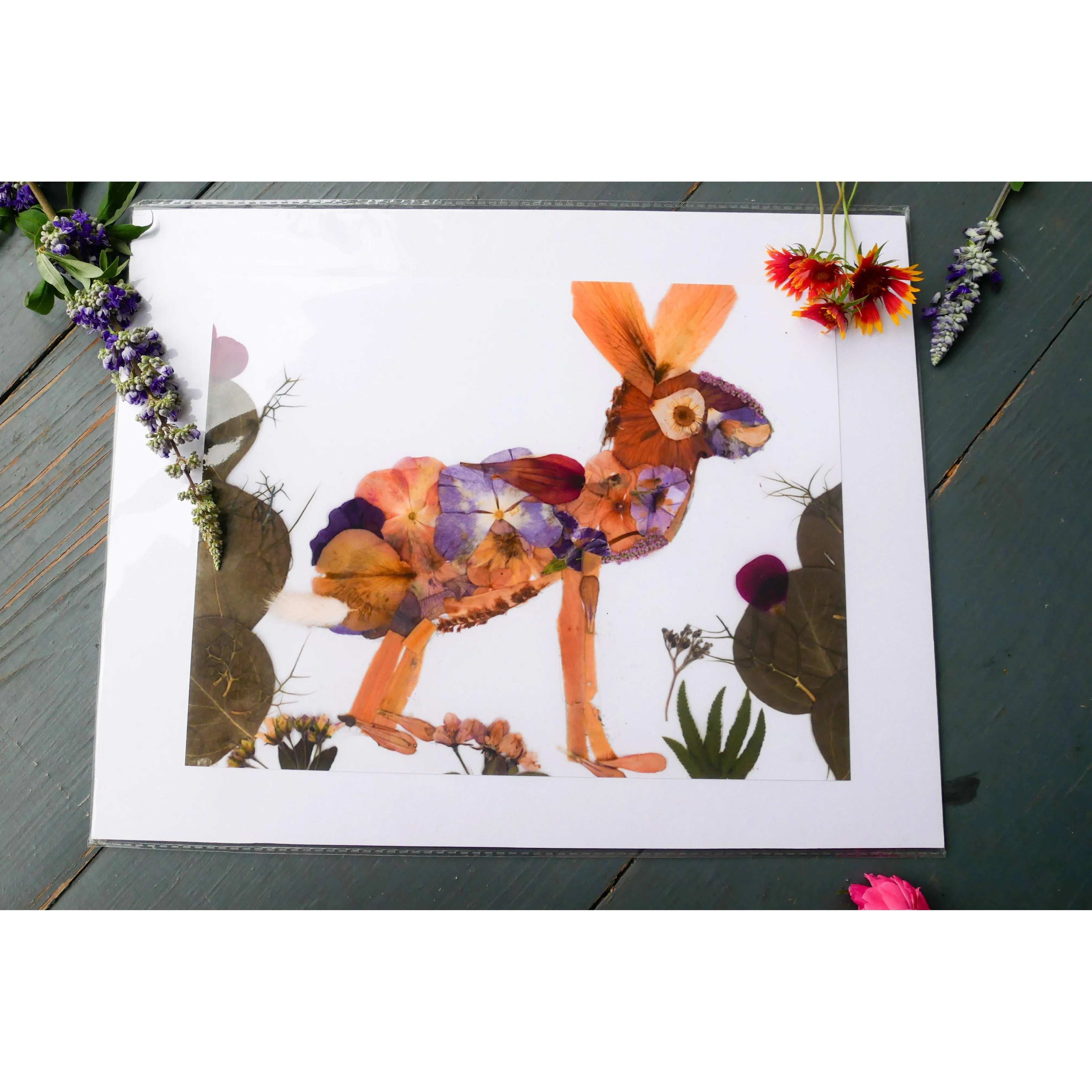 Jackrabbit pressed flower collage art print