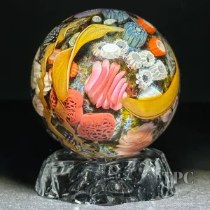 Jared DeLong 2023 Glass Art Marble Pacific Coast Tide Pool Series with Bioluminescent Barnacles & Flamework Kelp