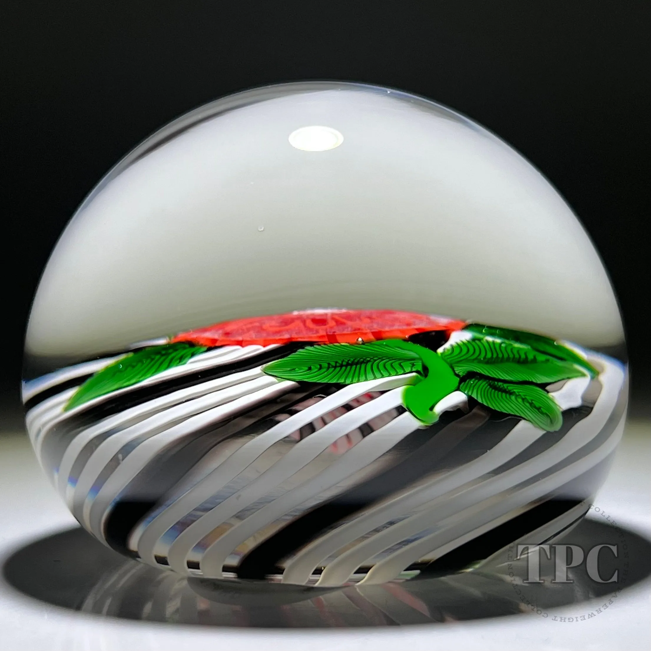 John Deacons Glass Art Paperweight Flamework Red Pompom Flower on Black & White Swirl