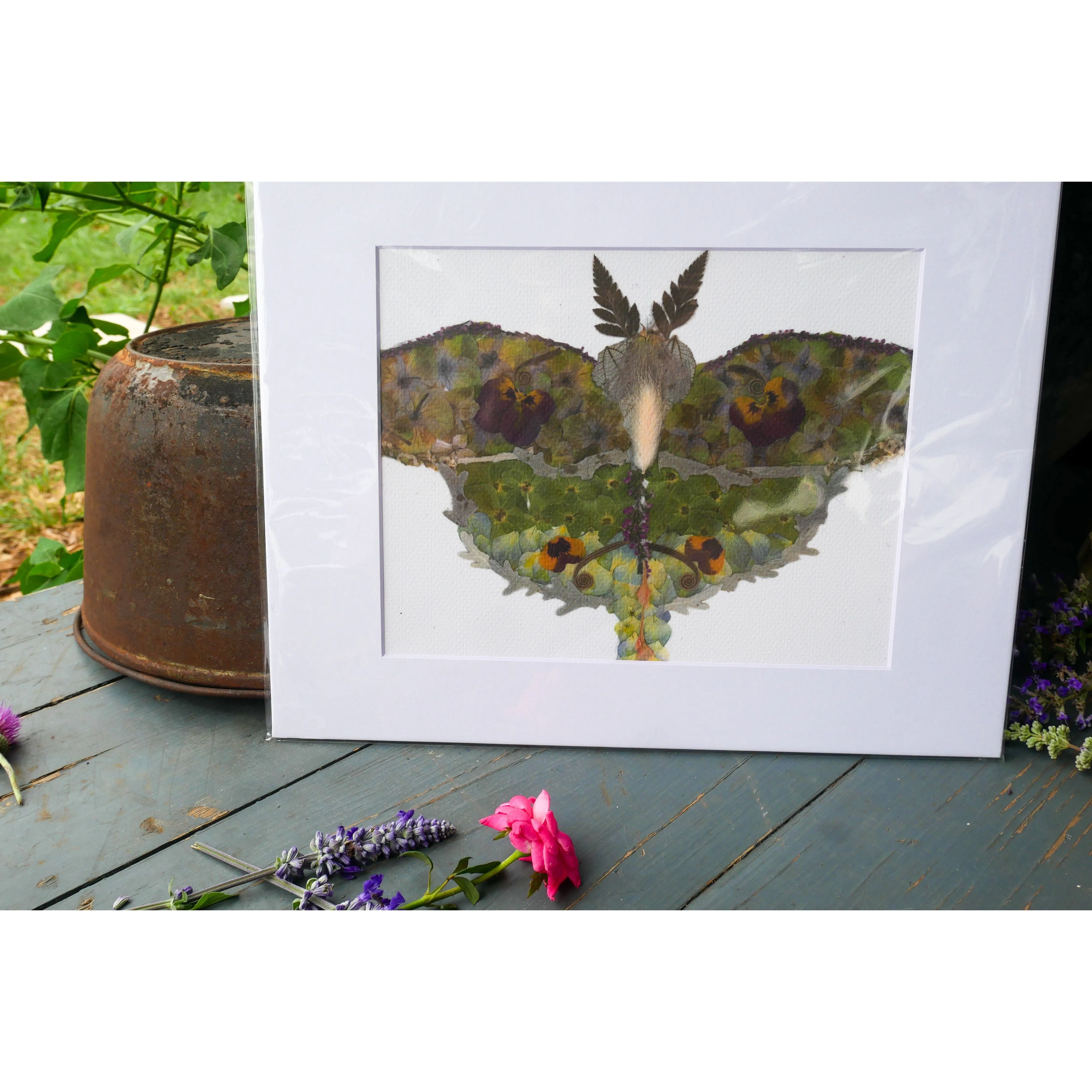 Luna Moth Pressed flower art