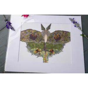 Luna Moth Pressed flower art