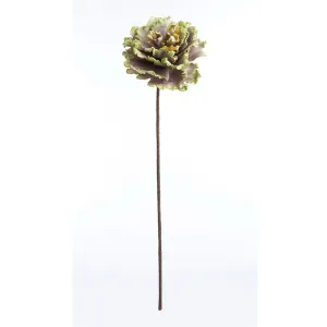 Napa Home Garden,  FF MAMBO JAMBO GREEN,ff0088