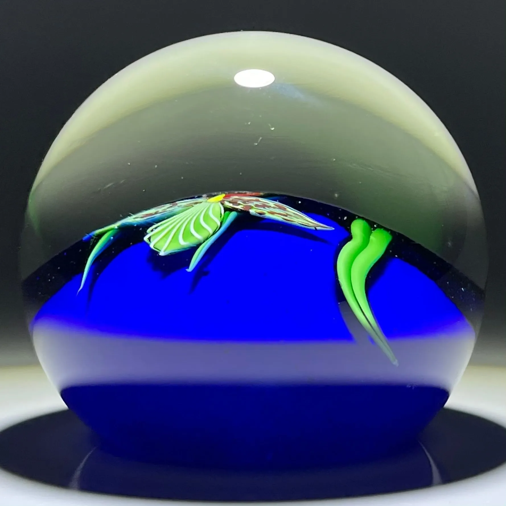 Orient & Flume 1985 Torchwork Lady Slipper Orchid on Blue Ground