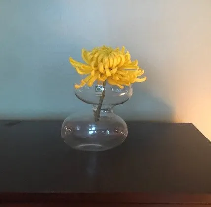 Raygun Glass Vase