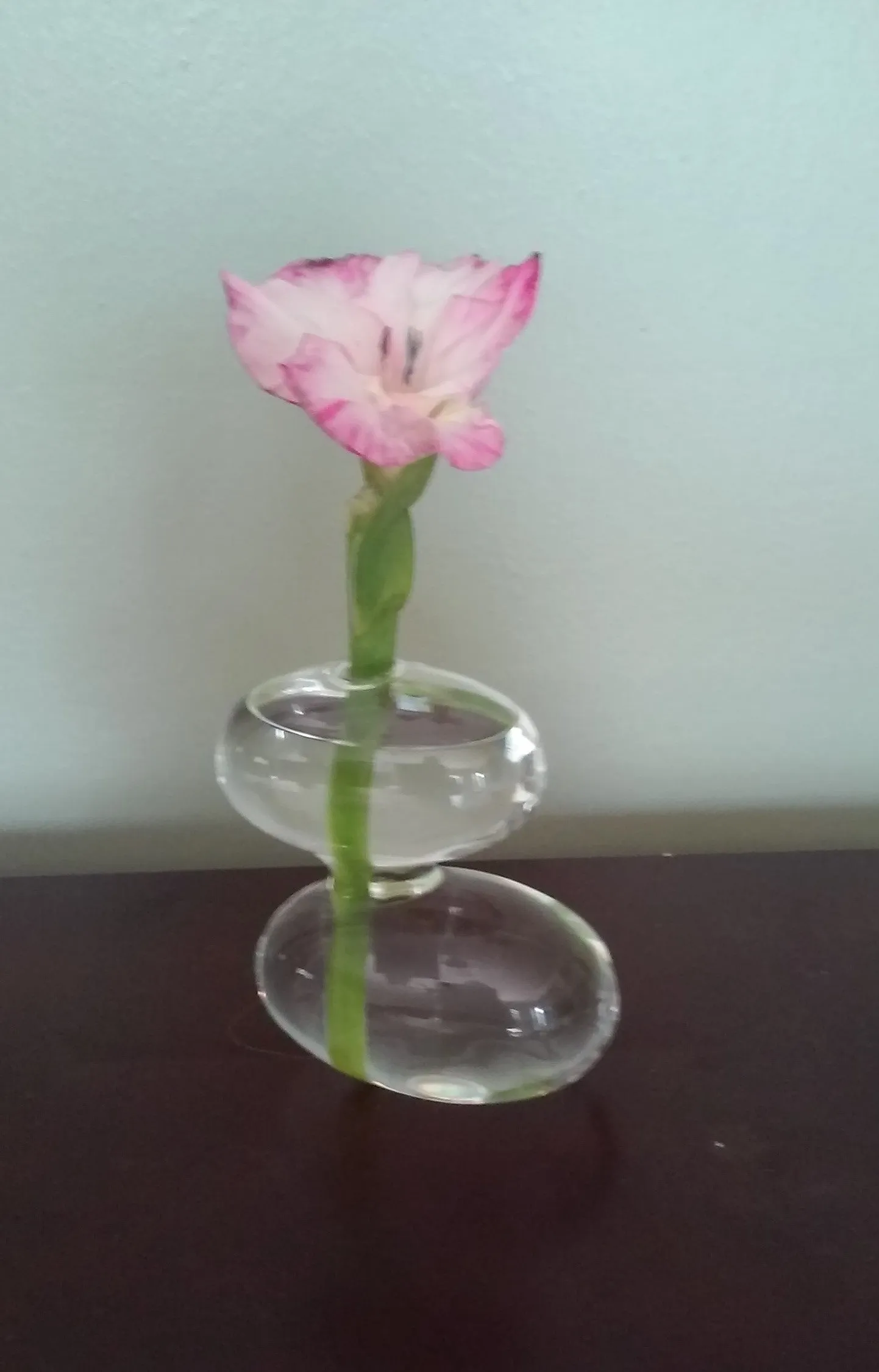 Raygun Glass Vase