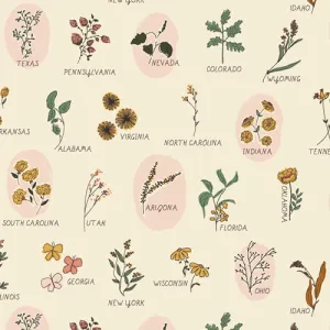 The Open Road Roadside Wildflowers in Cream by Bonnie Christine