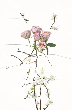 Untitled (Flowers Arrangement) 01